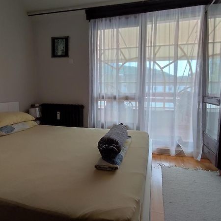 Vila Zora Apartman Banja Koviljaca Exterior photo