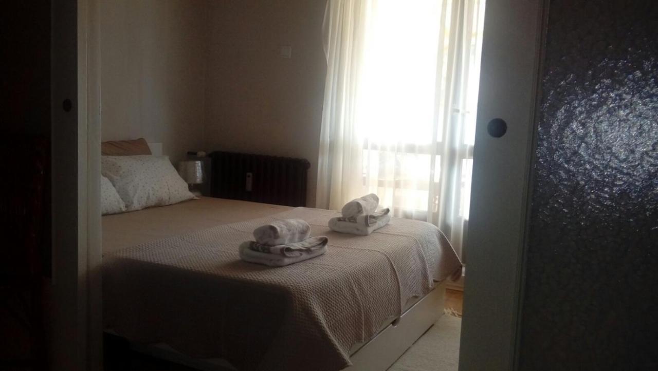 Vila Zora Apartman Banja Koviljaca Exterior photo