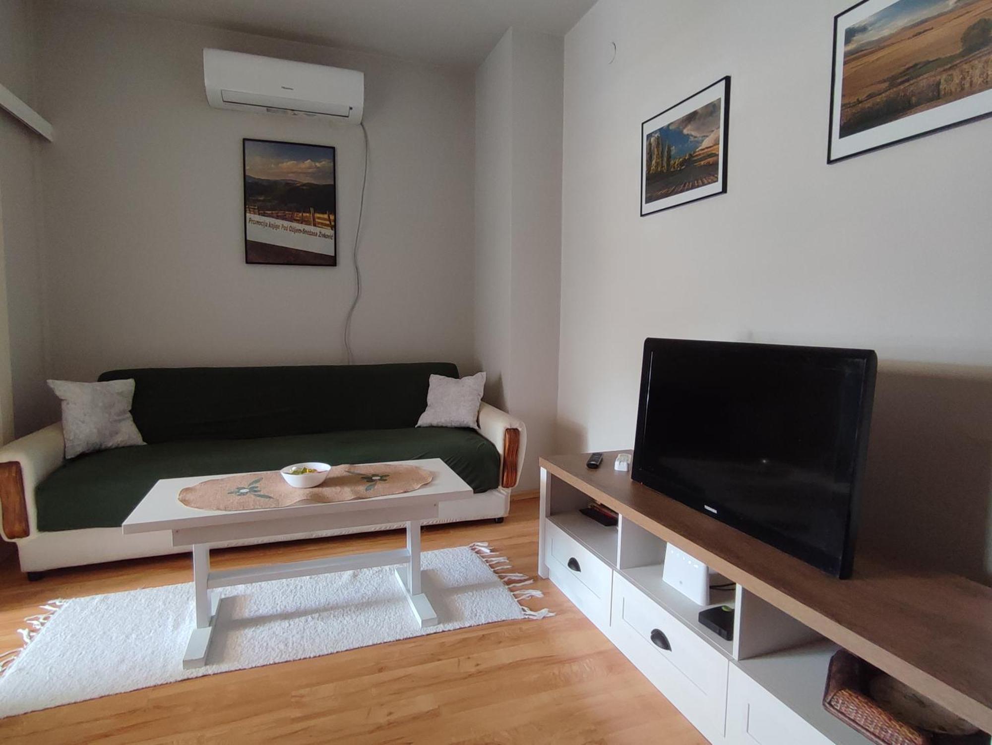 Vila Zora Apartman Banja Koviljaca Exterior photo